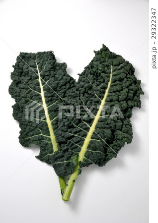 ケール ケール 29322347