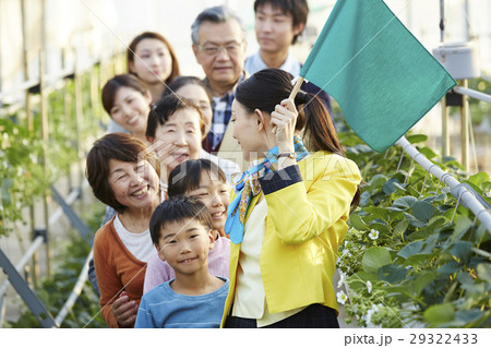 イチゴ狩りツアー イチゴ狩りツアー 29322433