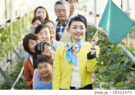 イチゴ狩りツアー イチゴ狩りツアー 29322474