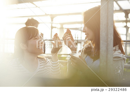 イチゴ狩り　女性 29322486