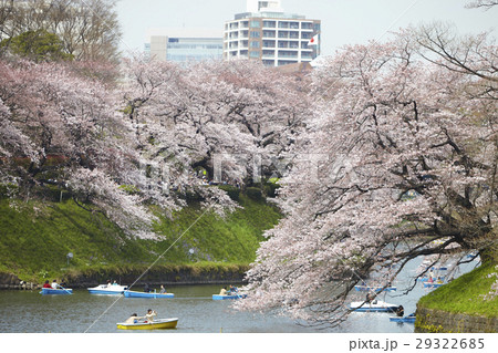 満開の桜 千鳥ヶ淵 満開の桜 千鳥ヶ淵 29322685