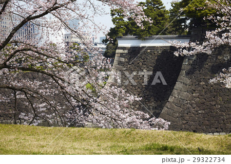 満開の桜　千鳥ヶ淵 29322734