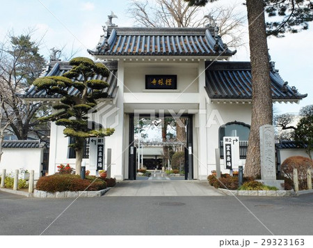 美しい禅林寺山門 美しい禅林寺山門 29323163