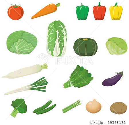 野菜のイメージイラストセットのイラスト素材
