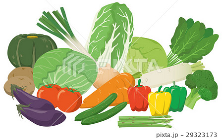 野菜の盛り合わせイメージイラストセット 29323173