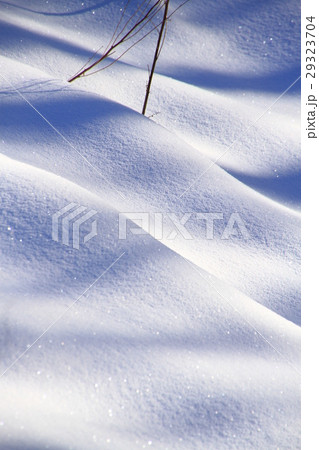 雪景色、背景素材、雪面模様、冬景色、テクスチャー 雪景色、背景素材、雪面模様、冬景色、テクスチャー 29323704