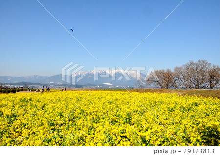 守山第一なぎさ公園 29323813