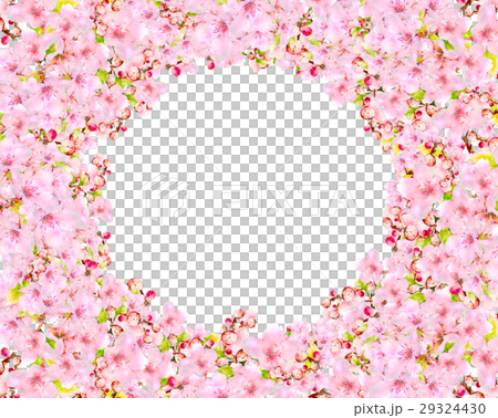 cherry blossom frame cherry blossom frame 29324430