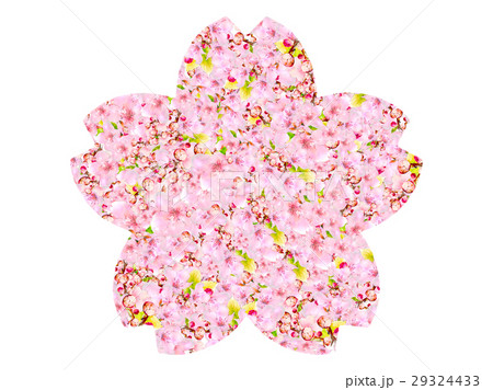 桜 29324433