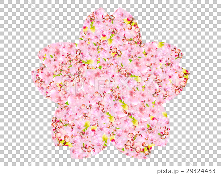 桜 29324433
