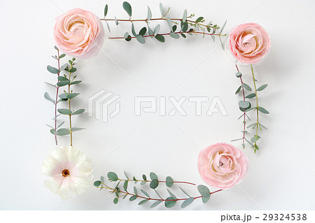 ラナンキュラスとユーカリのフレーム ラナンキュラスとユーカリのフレーム 29324538