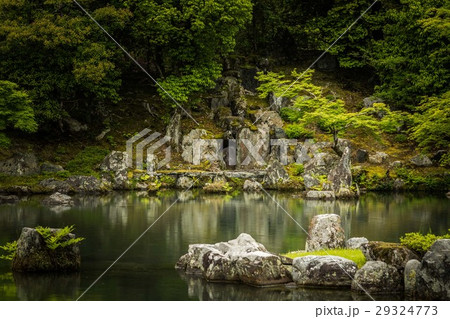 Japanese garden  29324773