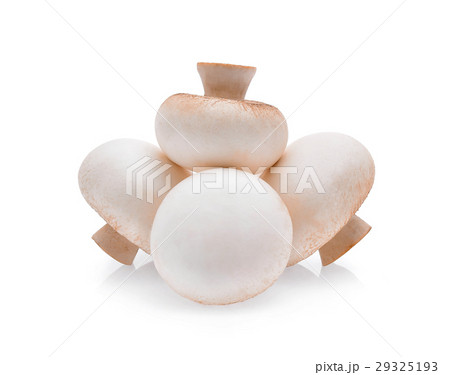 Champignon mushroom isolated on white background Champignon mushroom isolated on white background 29325193