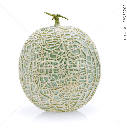 melon isolated on white background melon isolated on white background 29325202