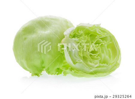 Green Iceberg lettuce on white background Green Iceberg lettuce on white background 29325264