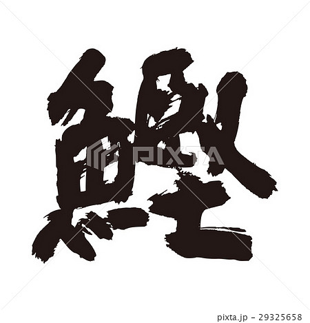 鰹　筆文字 29325658