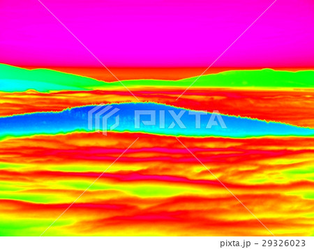 Animal Infrared view. Hilly landscape, forest  29326023