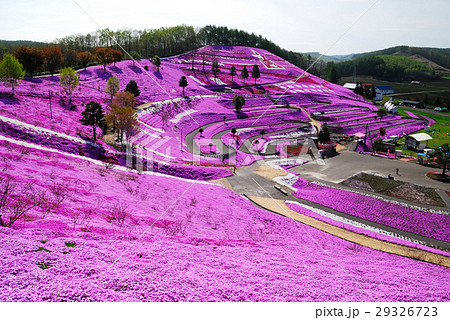 芝桜庭園 29326723