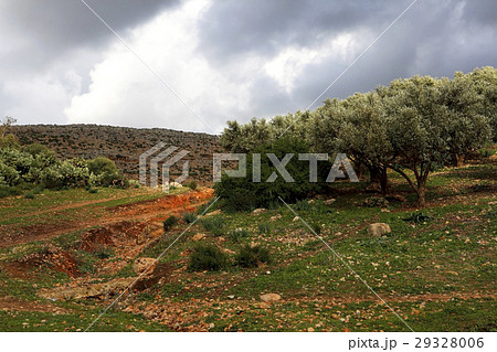 Beautiful landscape in Ifrane 29328006