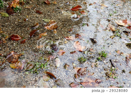 雨の日：「雨だれベンチの下」大阪府枚方市 29328080