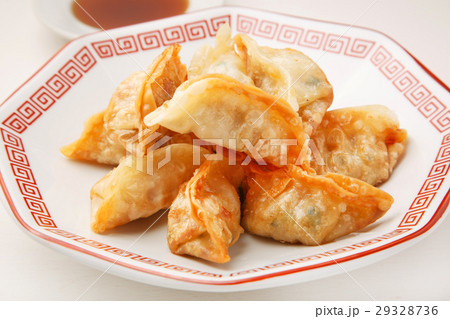揚げ餃子 揚げ餃子 29328736