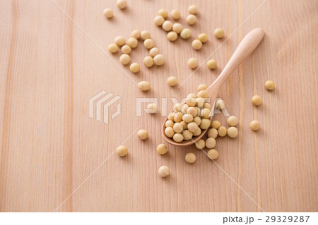 大豆 大豆 29329287