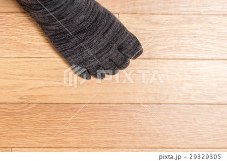 五本指ソックス 29329305
