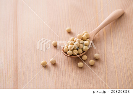 大豆 29329338
