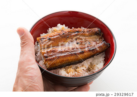 鰻丼 白バック 鰻丼 白バック 29329617