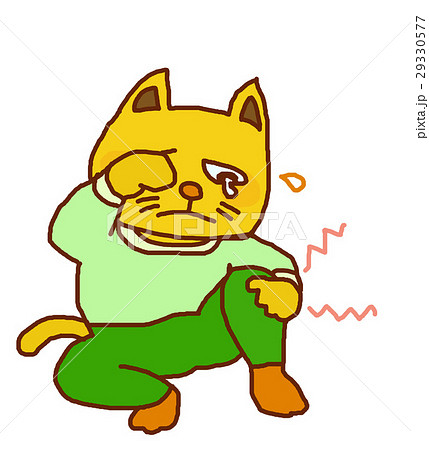 膝が痛い 29330577