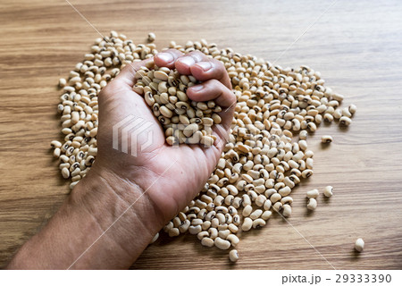 Soybeans on the old wooden table Soybeans on the old wooden table 29333390