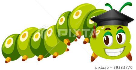 Green caterpillar wearing graduation cap Green caterpillar wearing graduation cap 29333770