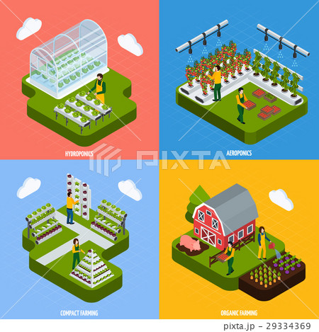 Hydroponics Concept Icons Set 29334369
