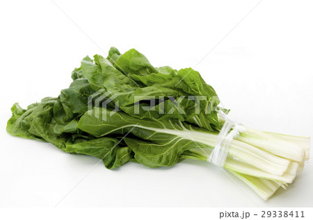 ふだんそう 29338411