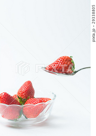 スカイベリー 29338805