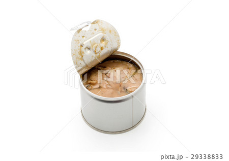 さばの缶詰（さばの水煮） 29338833