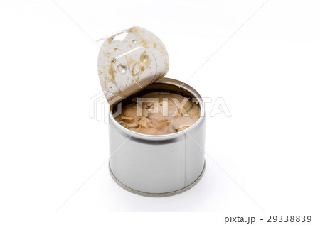 さばの缶詰（さばの水煮） 29338839