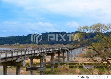 春まじかの世界最長の木造歩道橋・蓬莱橋 29339064