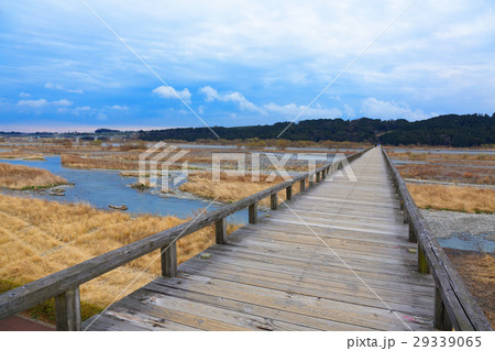 春まじかの世界最長の木造歩道橋・蓬莱橋 29339065