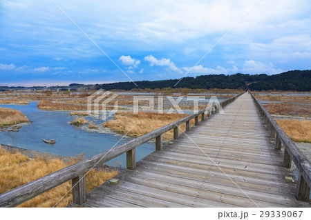 春まじかの世界最長の木造歩道橋・蓬莱橋 29339067