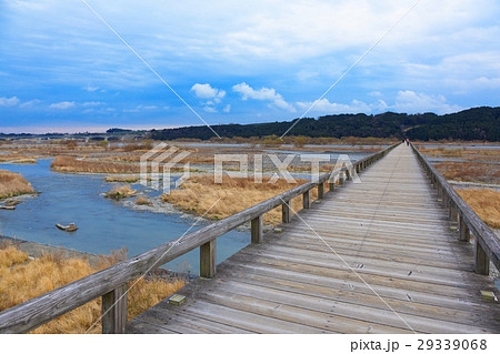 春まじかの世界最長の木造歩道橋・蓬莱橋 春まじかの世界最長の木造歩道橋・蓬莱橋 29339068