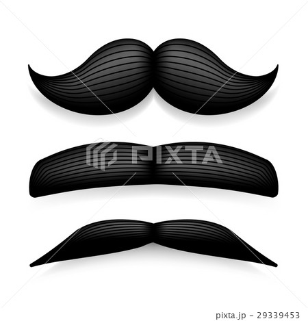 Mustache isolated on white. Black vector vintage 29339453