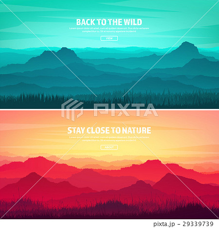 Mountains and forest. Wild nature landscape 29339739