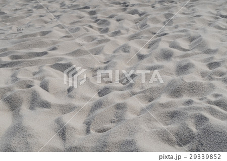 クロ－ズアップ クローズアップ 接写 29339852