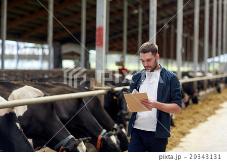 farmer with clipboard and cows in cowshed on farm 29343131