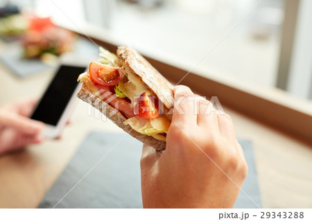 hand with salmon panini sandwich at restaurant 29343288