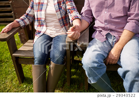 happy senior couple at summer farm 29343522