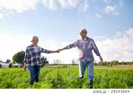 happy senior couple holding hands at summer farm 29343604