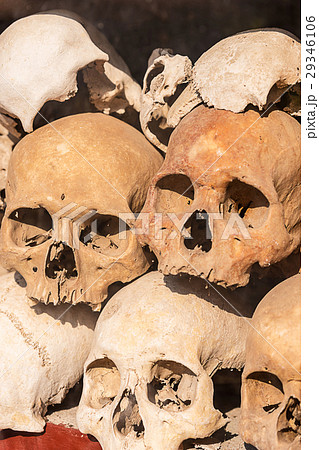 Pile of human skulls. 29346106