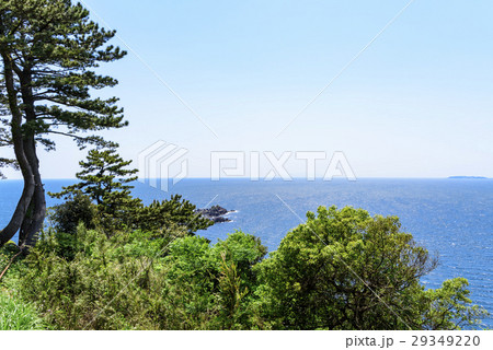 真鶴半島　海　眺望 29349220